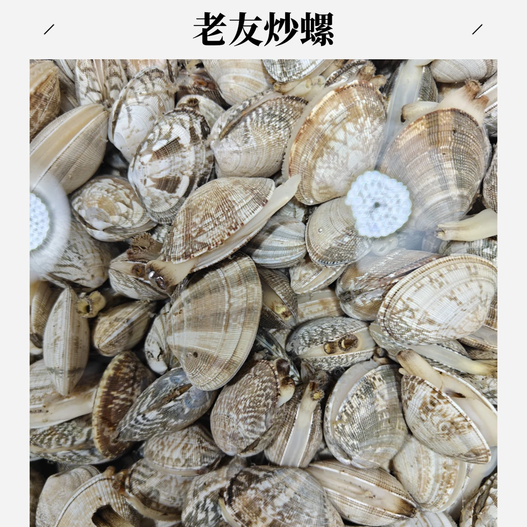 老友炒芝麻螺500g