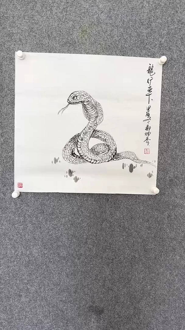 【闪购商品】国画龙行天下、手绘蛇
