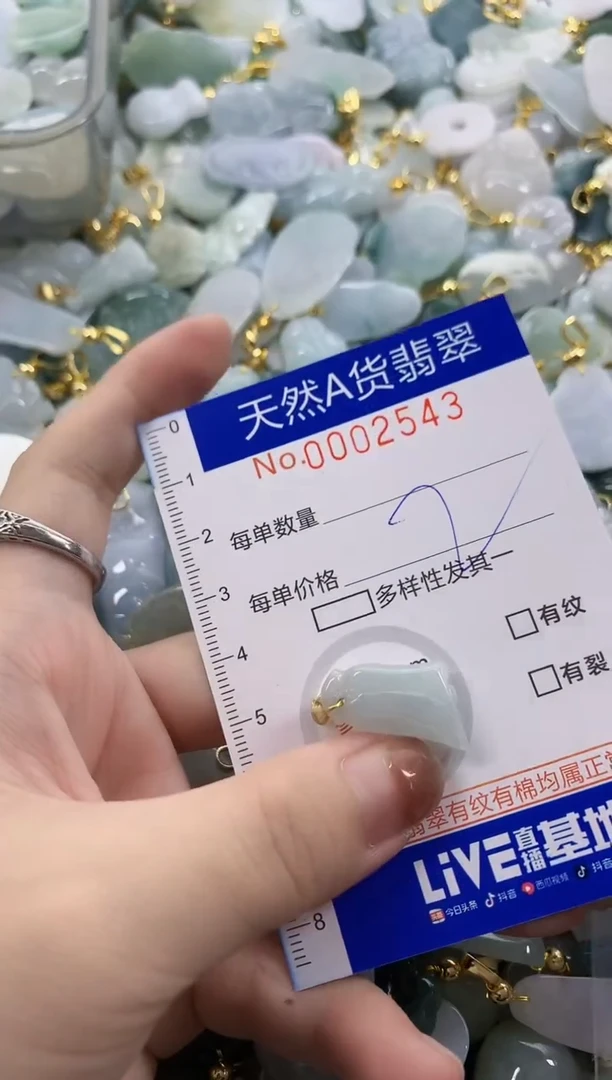 颈饰未镶嵌翡翠天然A货翡翠