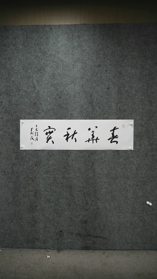书法书法zsy老师作品