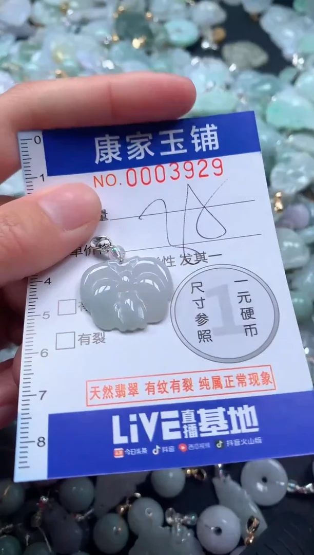 颈饰未镶嵌翡翠3929