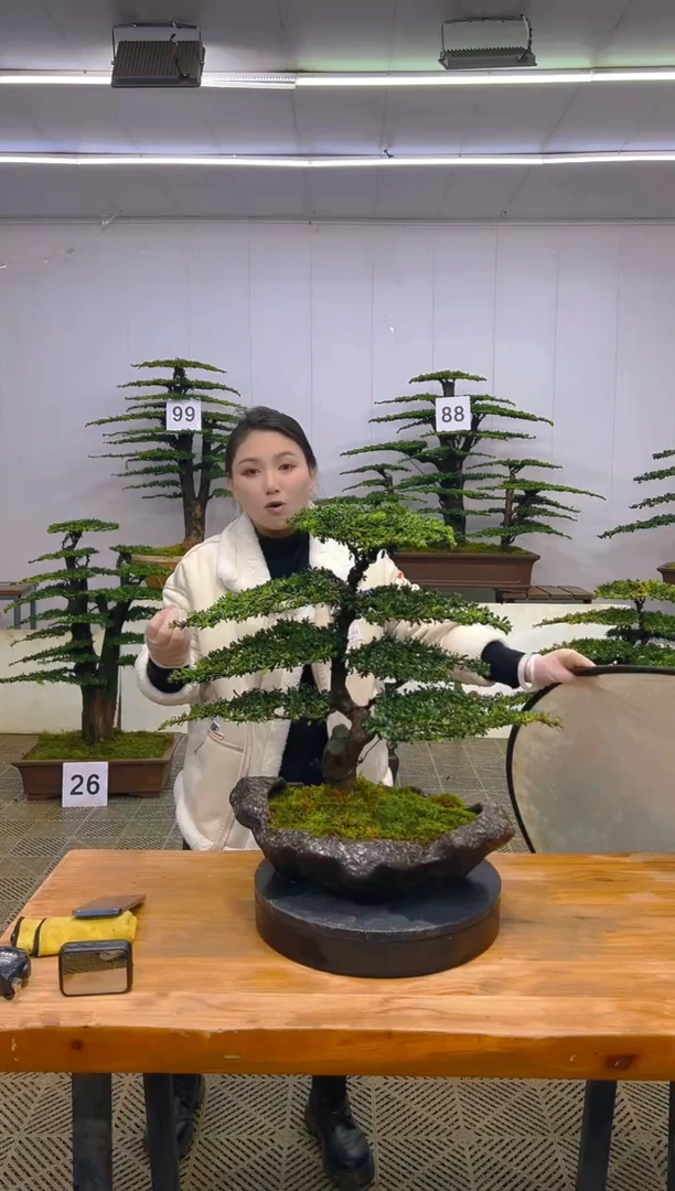 无花朵一物一拍一物一拍