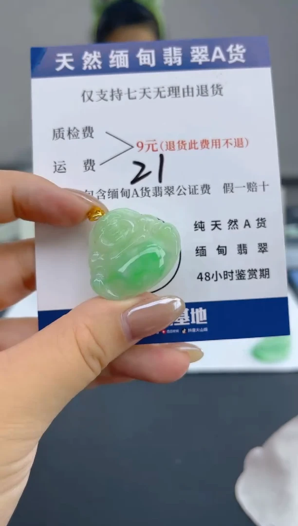 颈饰18K金镶嵌翡翠天然A货翡翠