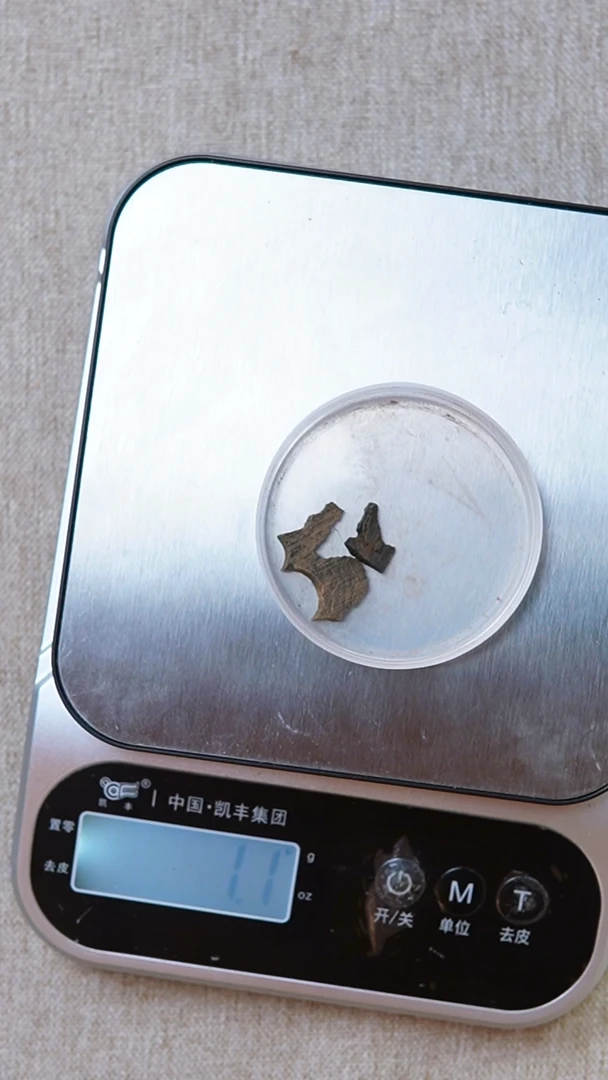 沉香沉香碎屑文莱黑奇1g