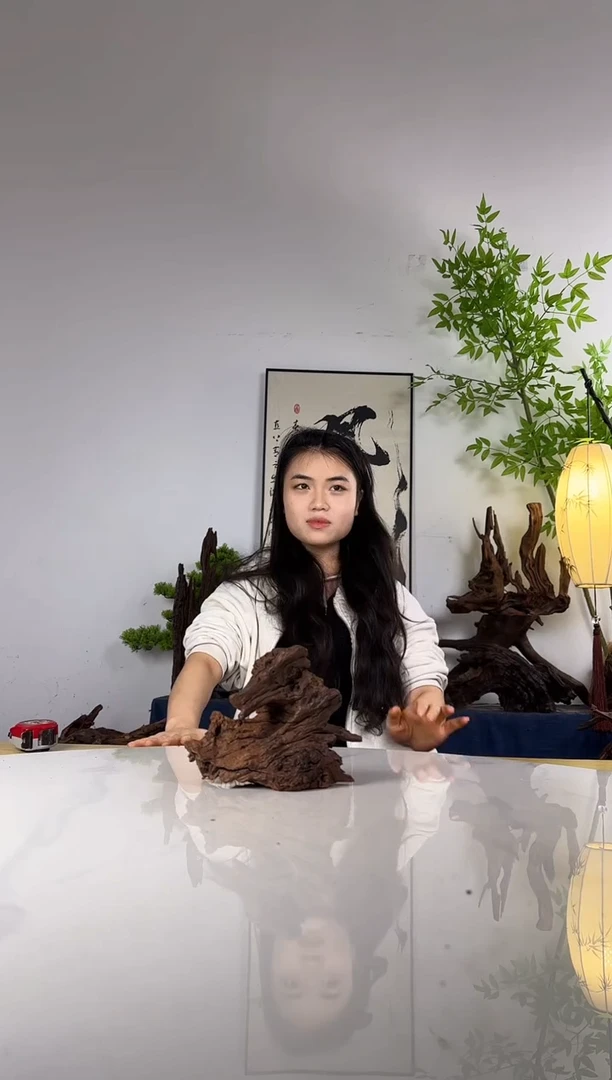 幸****隅拍沉木定向链接编号73