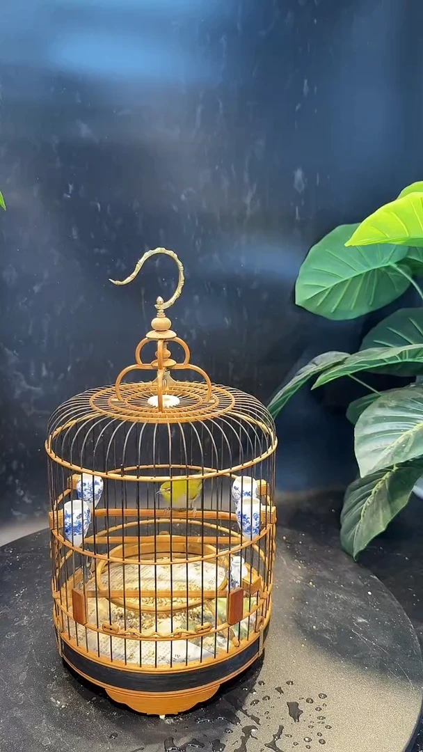 38号  绣眼养笼  0元起拍