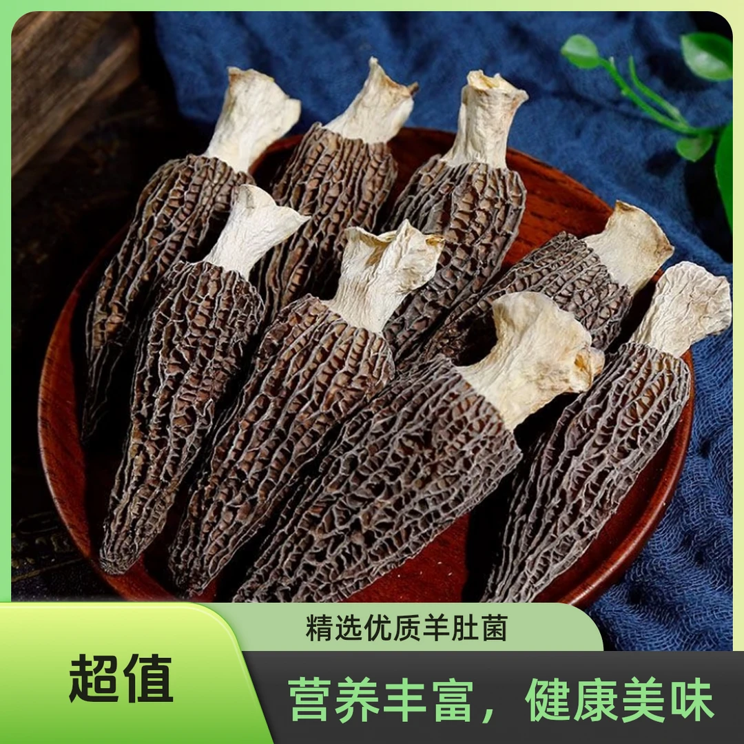 川西高山户外当季头茬厚肉干羊肚菌 精品煲汤无熏硫