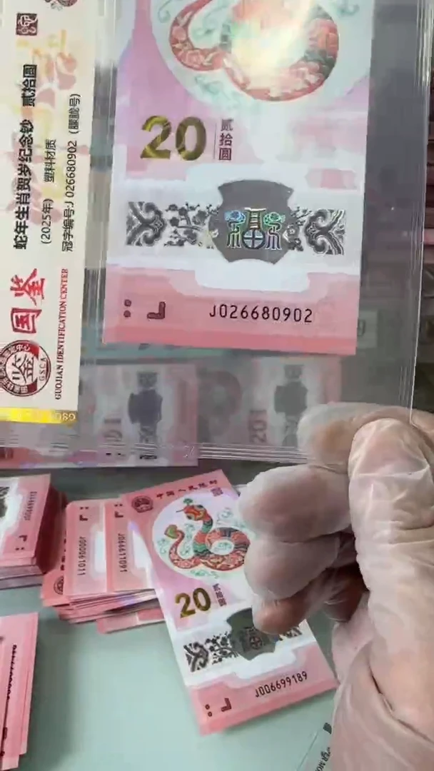 【闪购商品】塑料026680902-蛇钞单张！