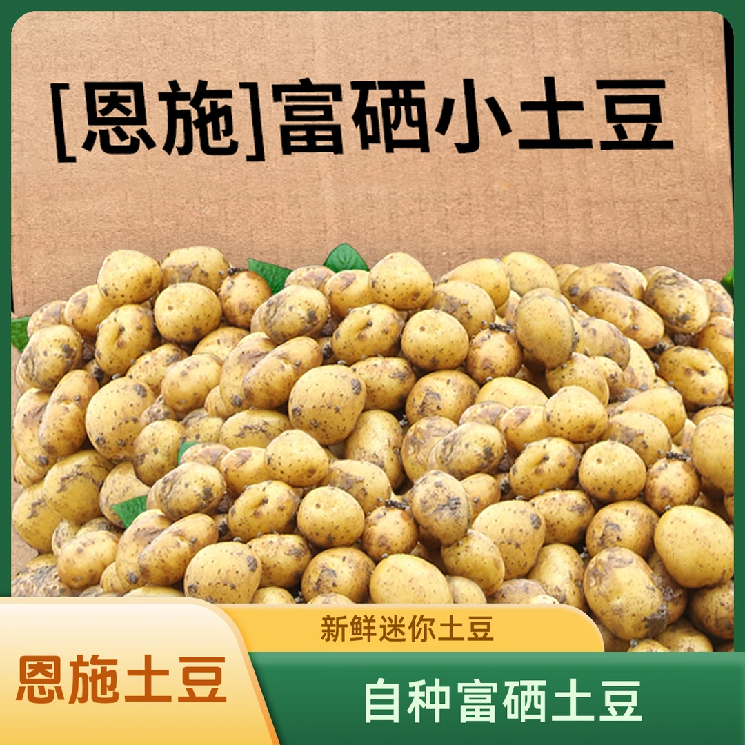 新鲜迷你小土豆黄心洋芋农家自种高山恩施富硒小土豆马铃薯