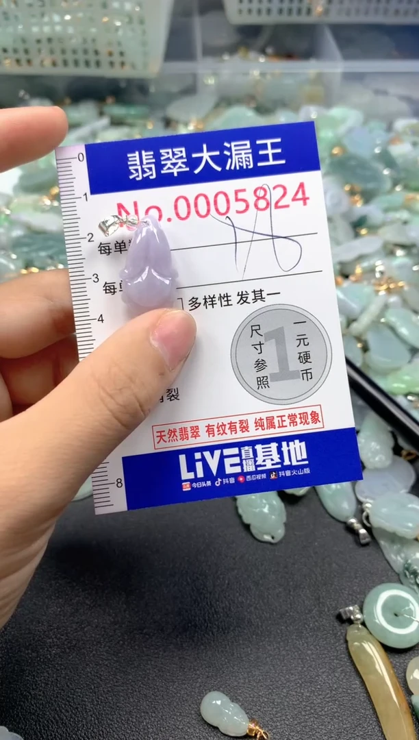 颈饰未镶嵌翡翠5824
