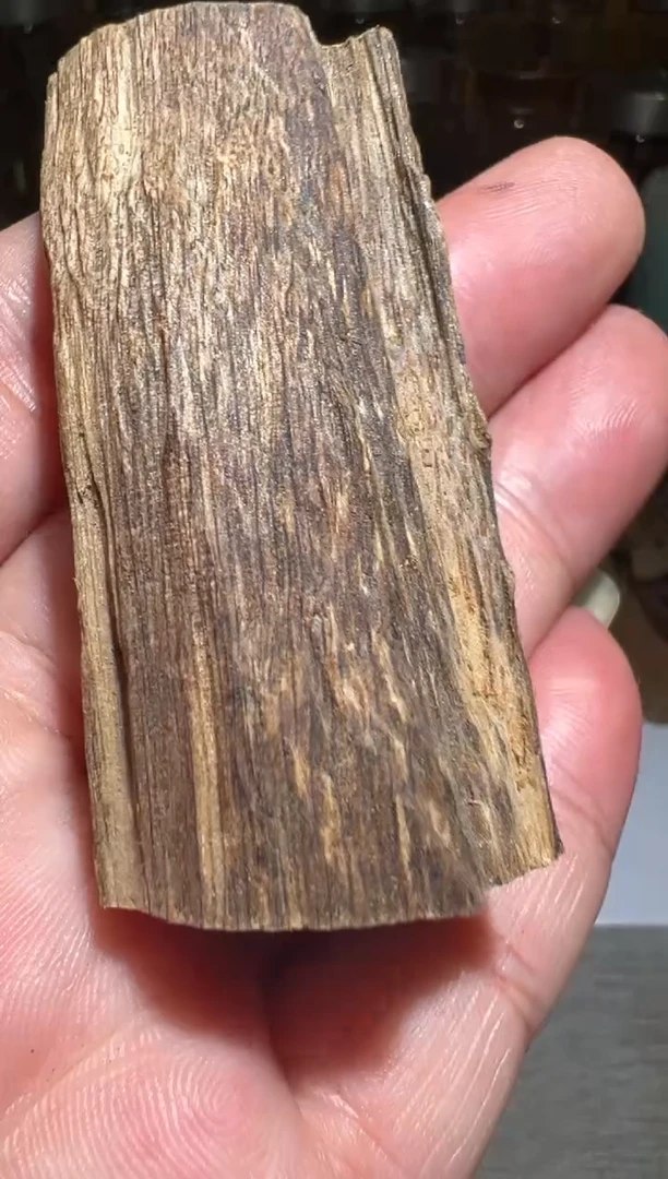 沉香沉香碎屑文莱5.7克