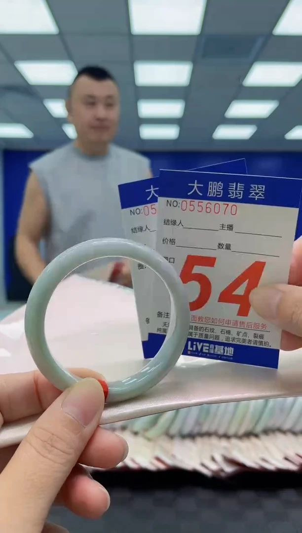未镶嵌手镯翡翠AAAAAAAAAA