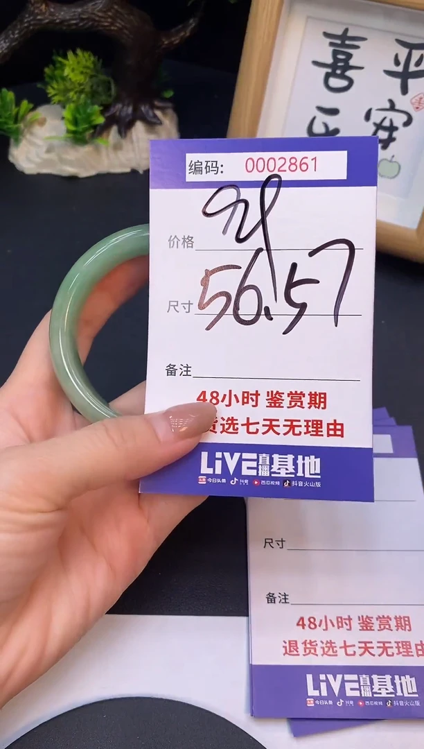 未镶嵌手镯翡翠0002861