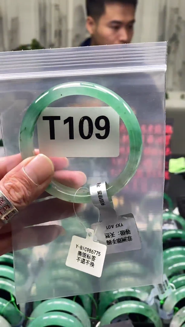 未镶嵌手镯石英质玉（非洲翠）59圈口T109