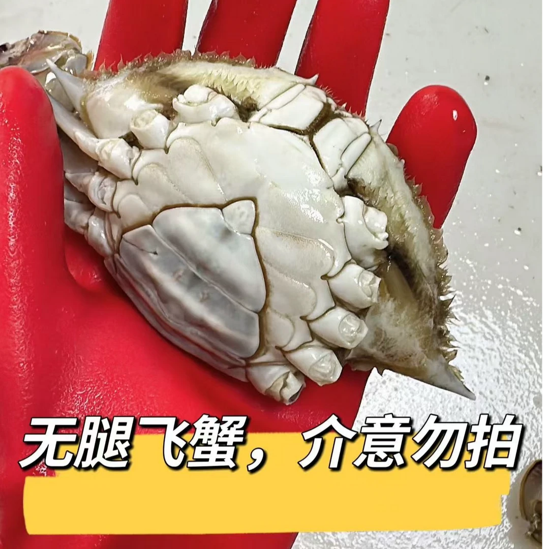 【无腿断氧】小 母蟹2斤【保鲜不保活】无腿介意勿拍单只2两5左右