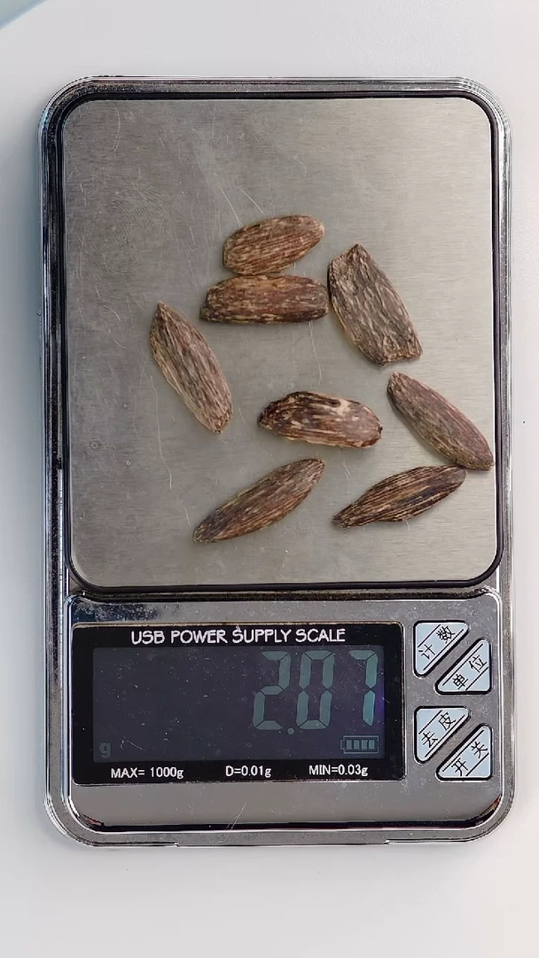 【闪购商品】沉香手把件海南虫包2.06g