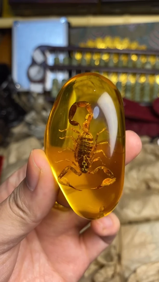 裸石琥珀未镶嵌主播推荐主播推荐