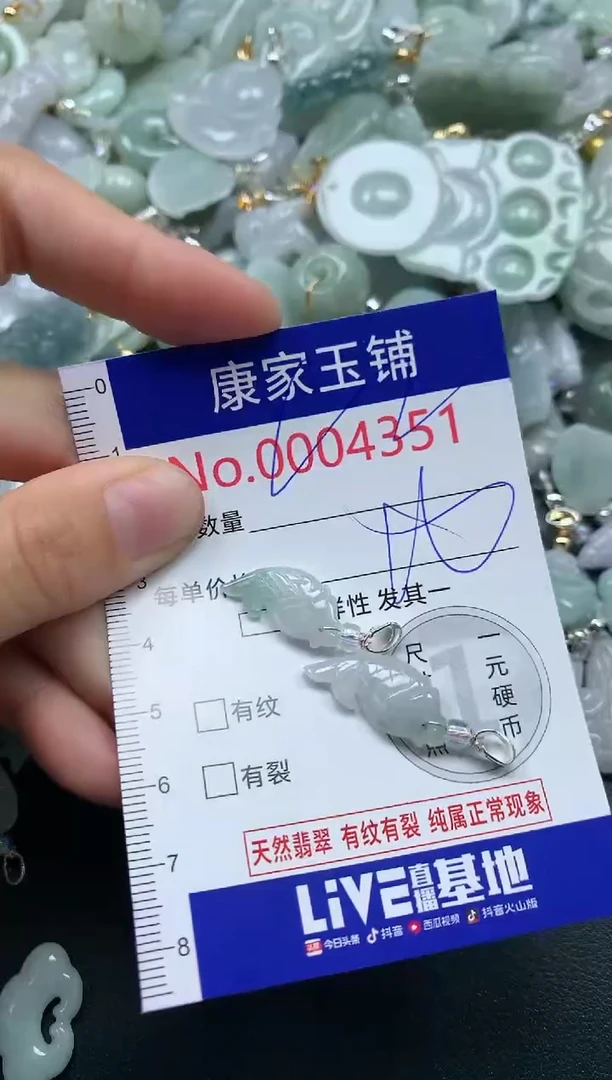 颈饰未镶嵌翡翠4351