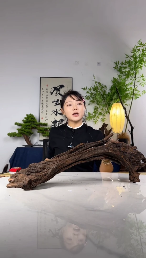 Y**.拍这个定向编号21