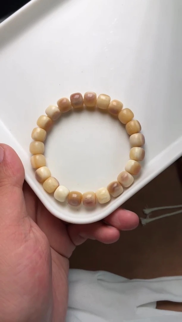 驼骨其他驼骨货头A125