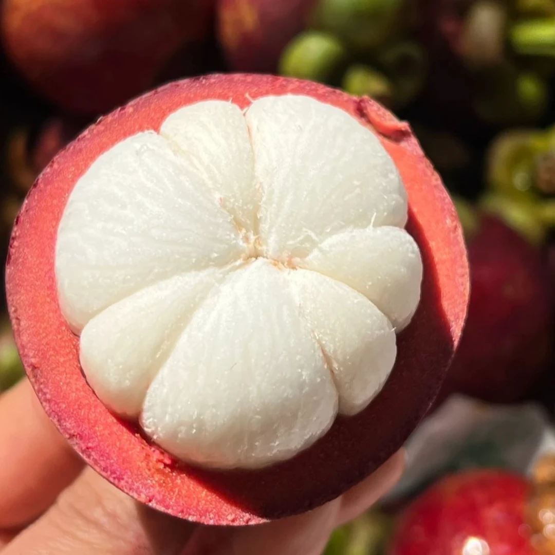 【次日达】泰国老树麻竹油竹新鲜进口山竹白嫩清甜水润多汁到手净重3斤-4.5斤