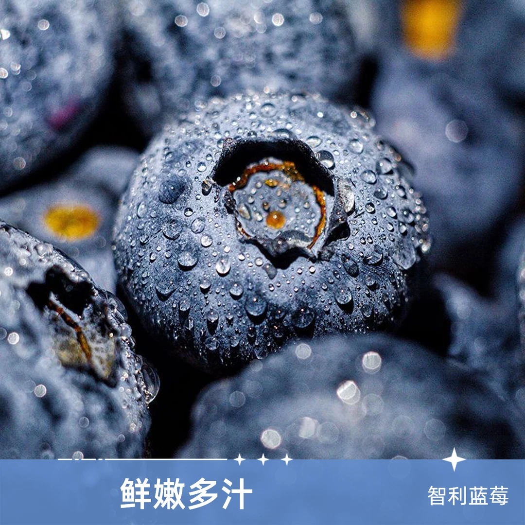 智利蓝莓两盒（单盒125g）16mm蓝莓同城送河北省