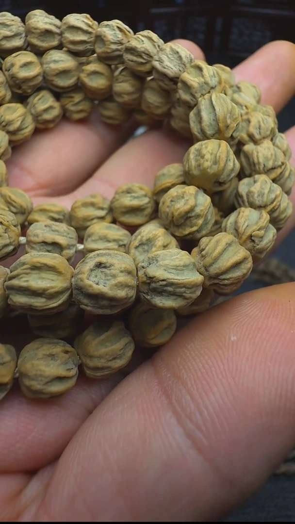 手串柏香籽/百香籽?***?坑尸陀林