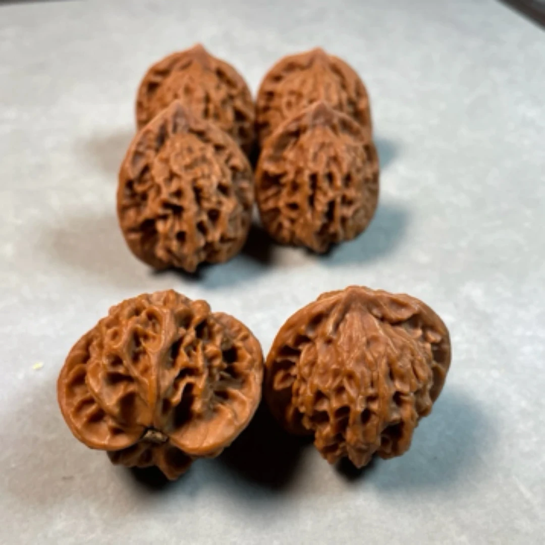 【悠然居】麻核桃文玩