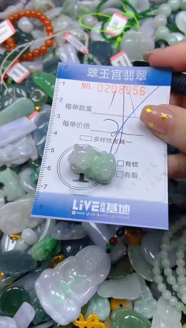颈饰未镶嵌翡翠闪购C0208056