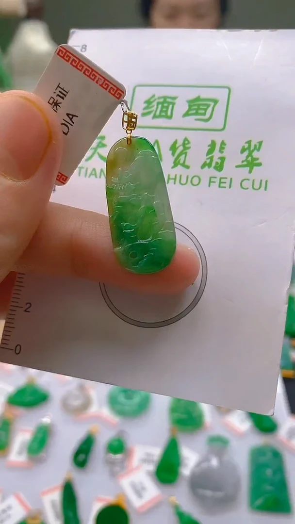 【闪购商品】翡翠颈饰18K金镶嵌新号开播，全场乱卖