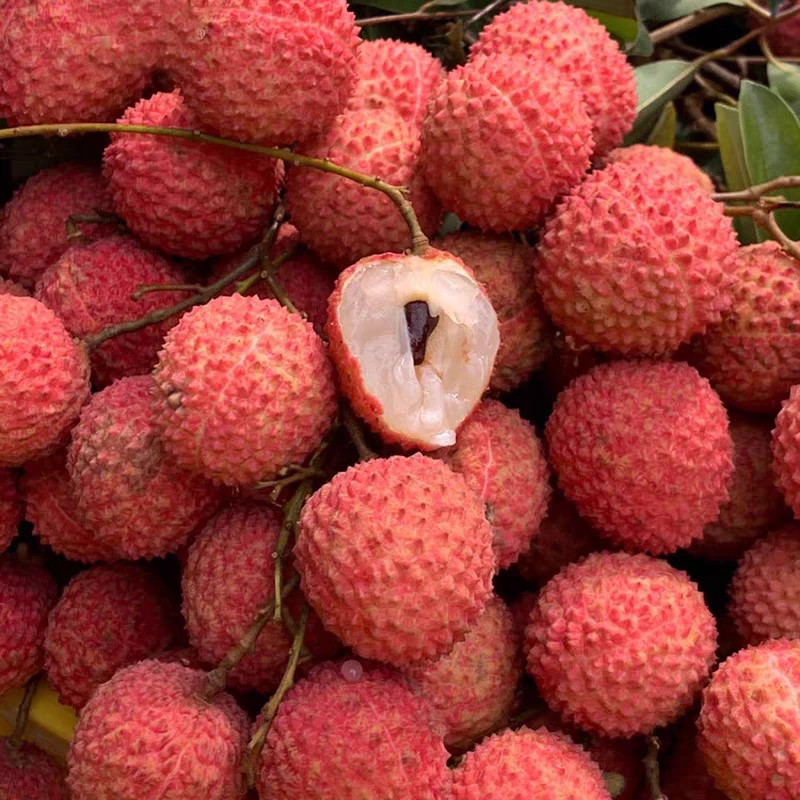 【荔枝】广东新鲜鸡嘴荔枝约2.8-3斤/5.8-6斤荔枝同城送