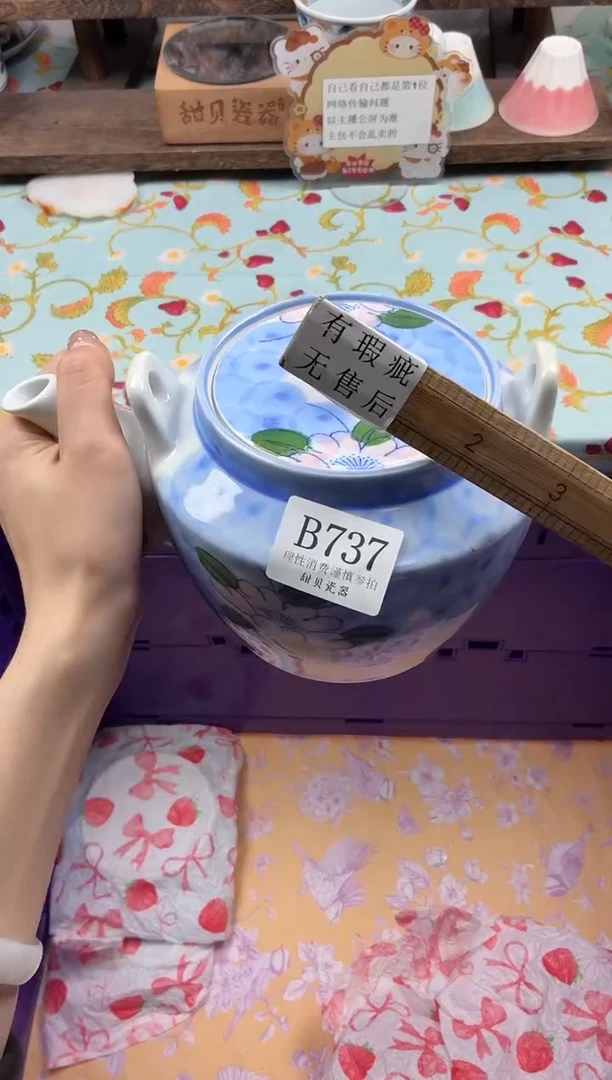 瓷片欢***耍                B737