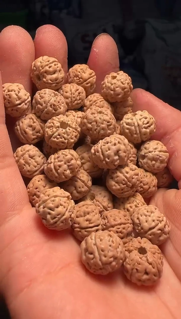 手串金刚菩提2非全品老树王散籽12-13mm一份一百颗