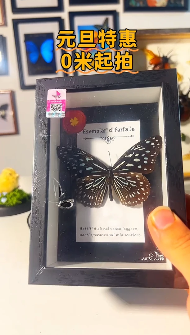 有机玻璃897648978