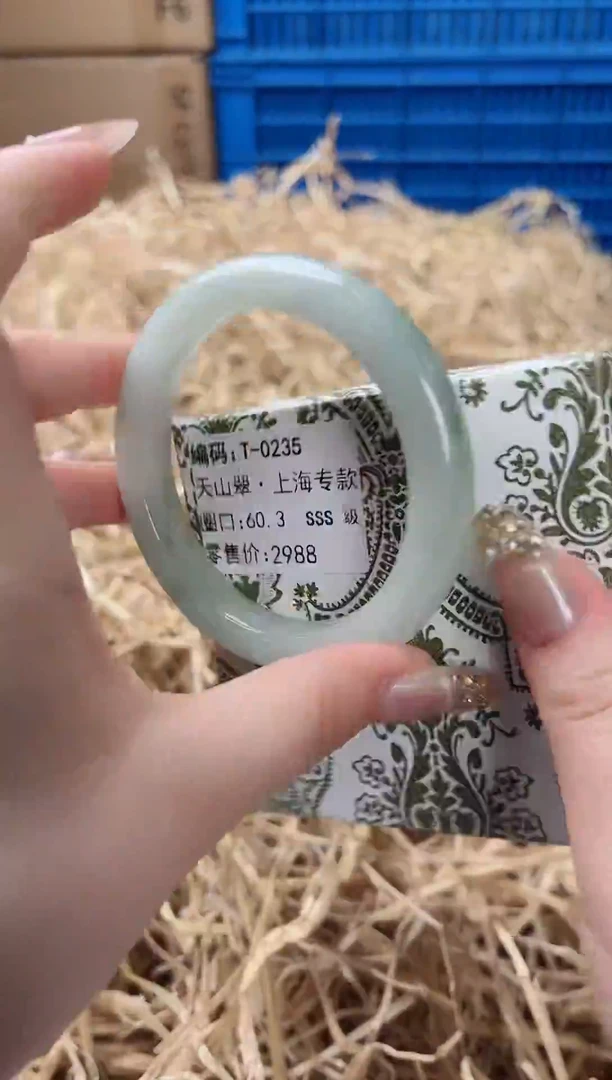 未镶嵌手镯石英质玉T-0235