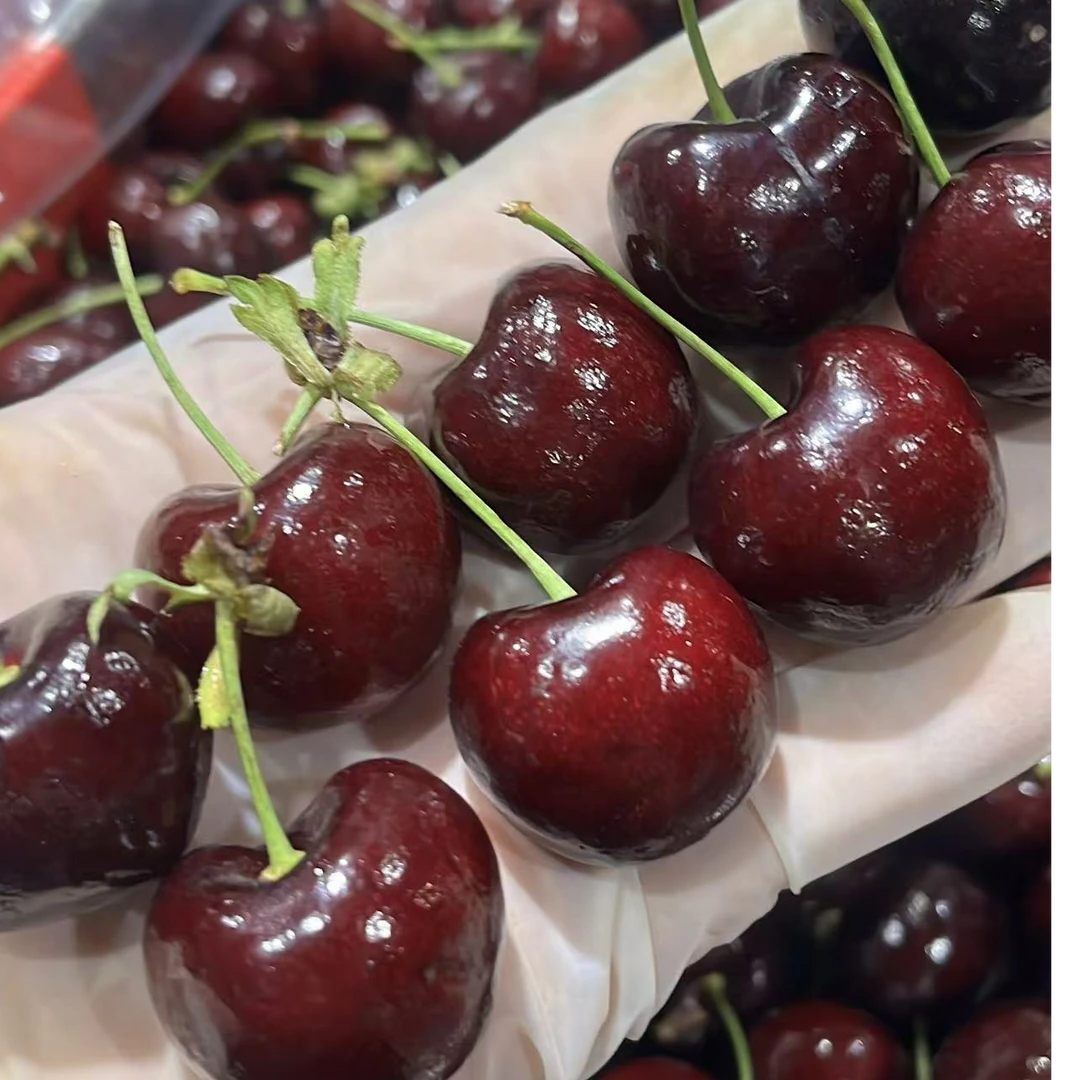 化州市区送货【黑珍珠车厘子3JD】净果1斤黑珍珠美国