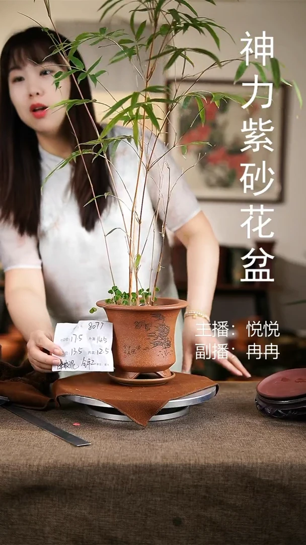 紫砂花盆紫砂花盆8077+z