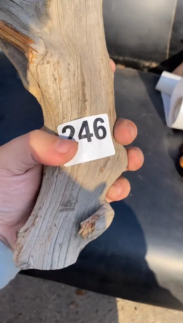 柏木（崖柏）太行陈化崖柏切片！随机（1单1片）246