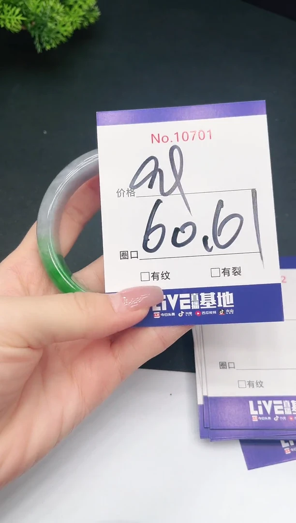 未镶嵌手镯翡翠10701