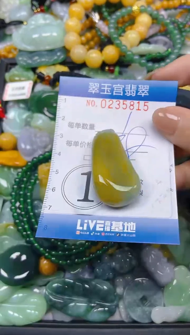 颈饰未镶嵌翡翠闪购C0235815