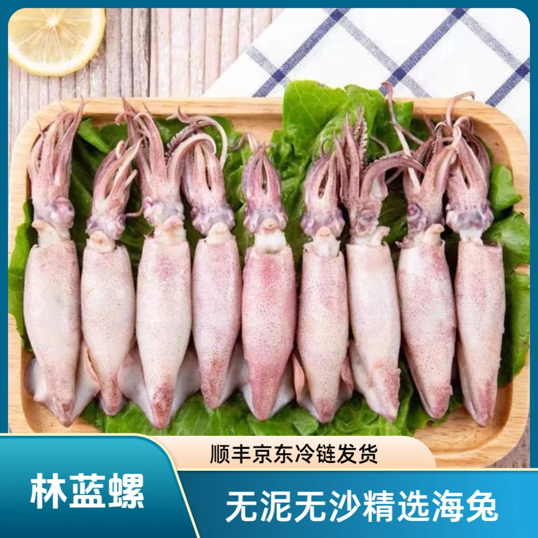 林蓝螺大号精选高品质无泥无沙海兔毛重400g/盒【发3盒/1盒10只】z