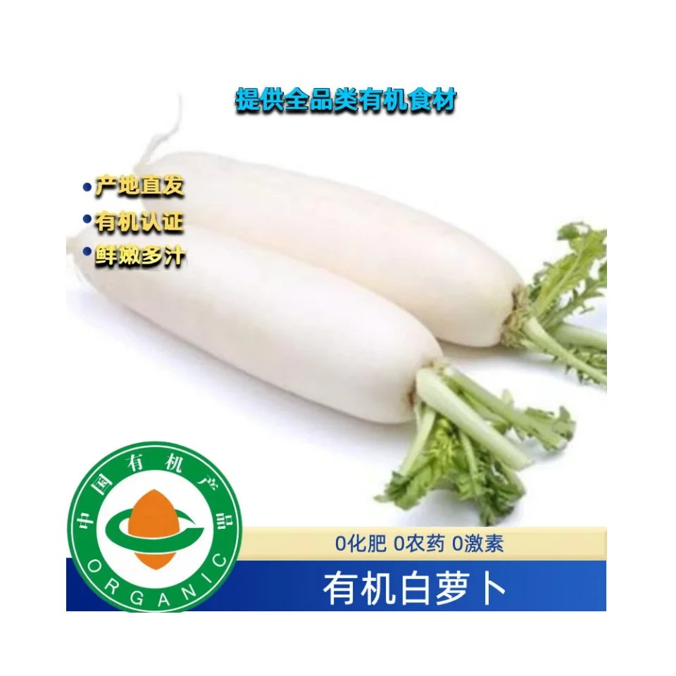 【有机白萝卜】新鲜采挖露天种植纯天然农场直发生吃凉拌热炒煲汤