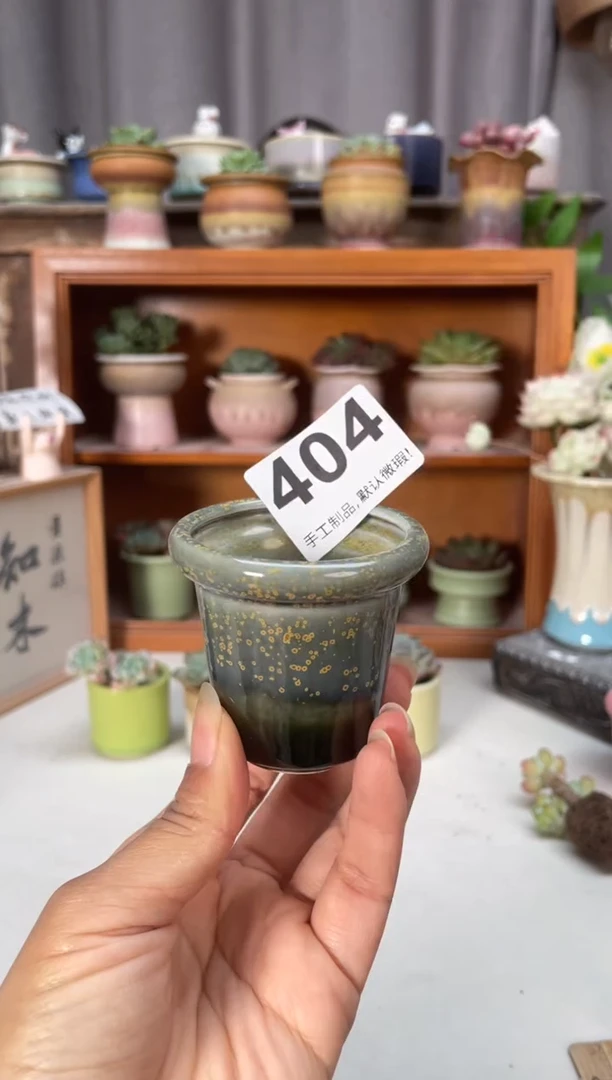 瓷片404小芳直播编号