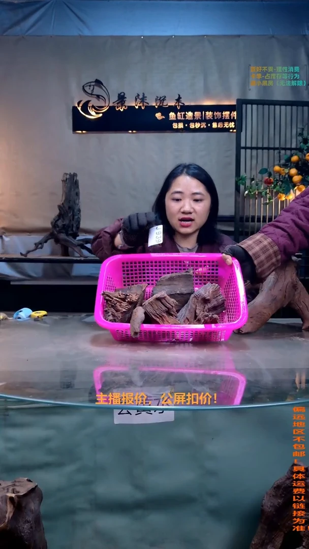 摆件景沐沉木J939景沐沉木J939