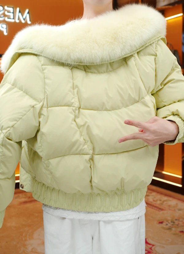 LK-2025新款大毛领高级加厚冬季新款羽绒服