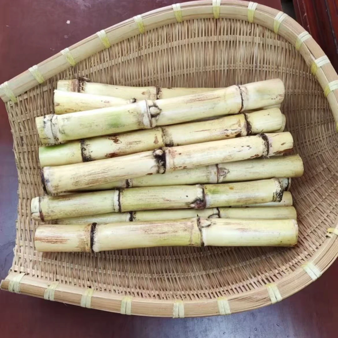 广西贵港木格白玉甘蔗早市水果甘蔗清甜脆口产地直发玻璃脆