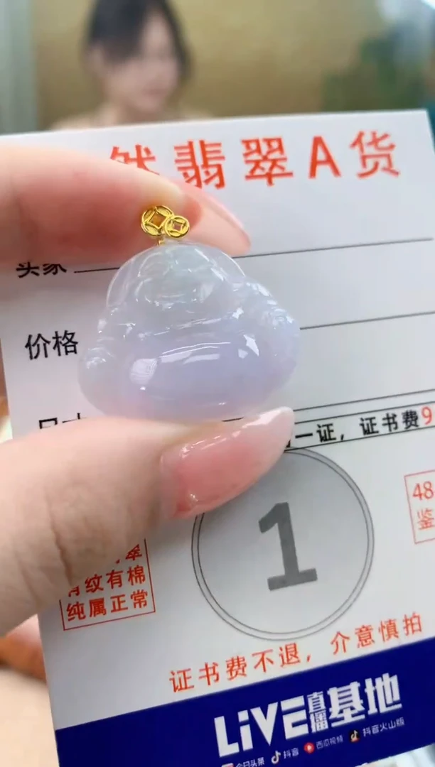 颈饰未镶嵌翡翠天然A货翡翠挂件