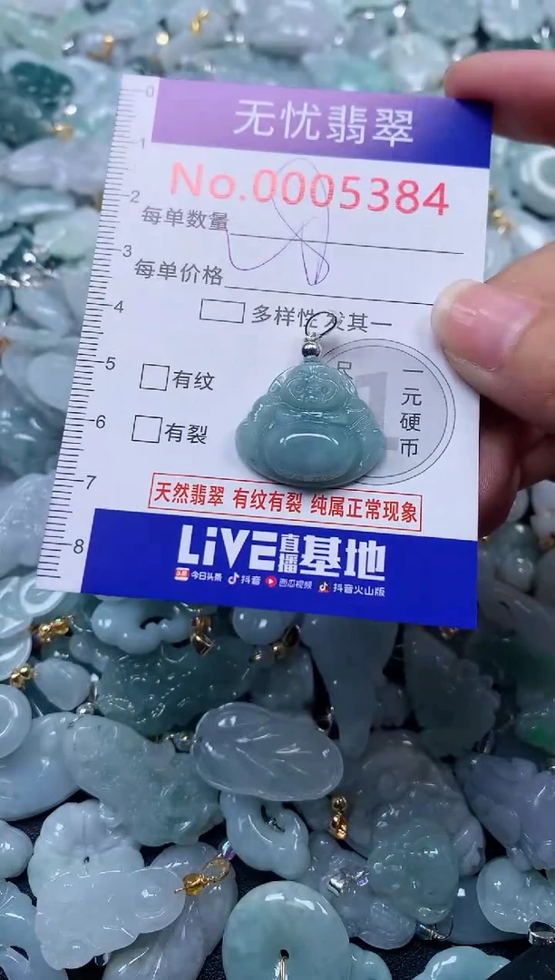 颈饰未镶嵌翡翠5384