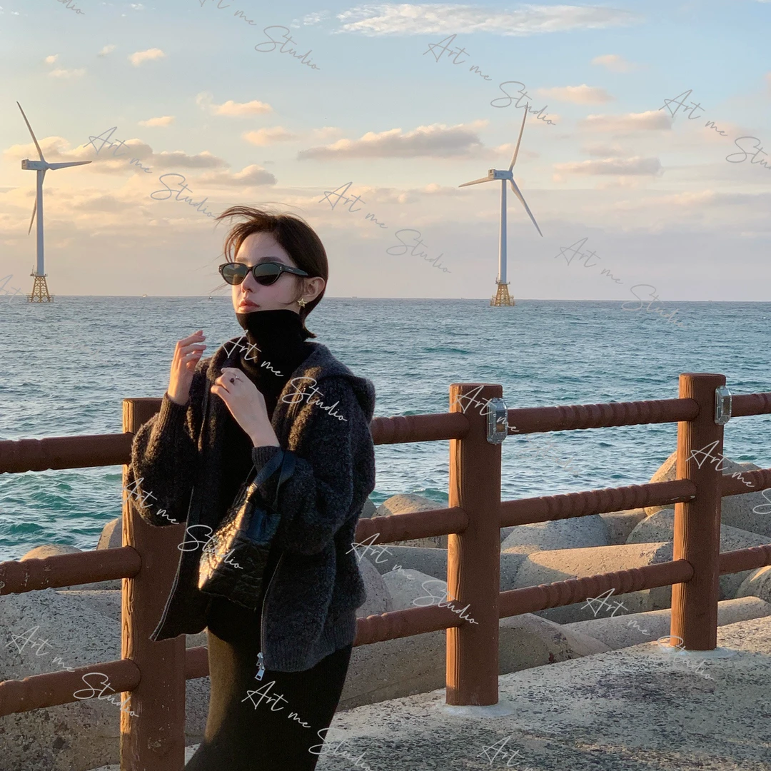 【ART ME】100绵羊毛高克重质感完美连帽加厚外套三色毛衣w24461a