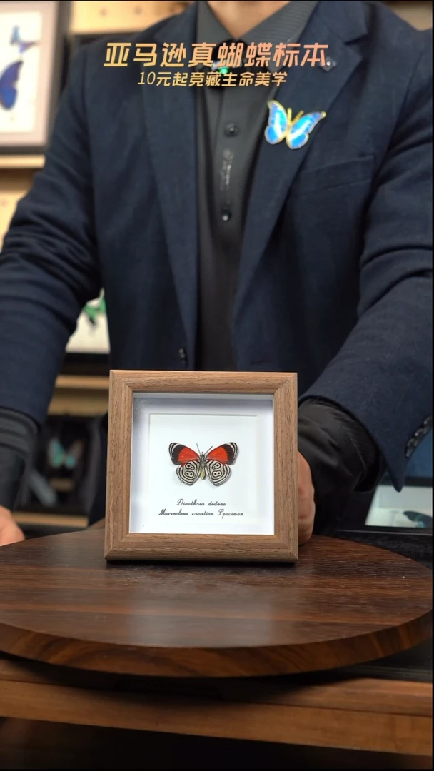 88多涡蛱蝶简约版4寸木纹方框